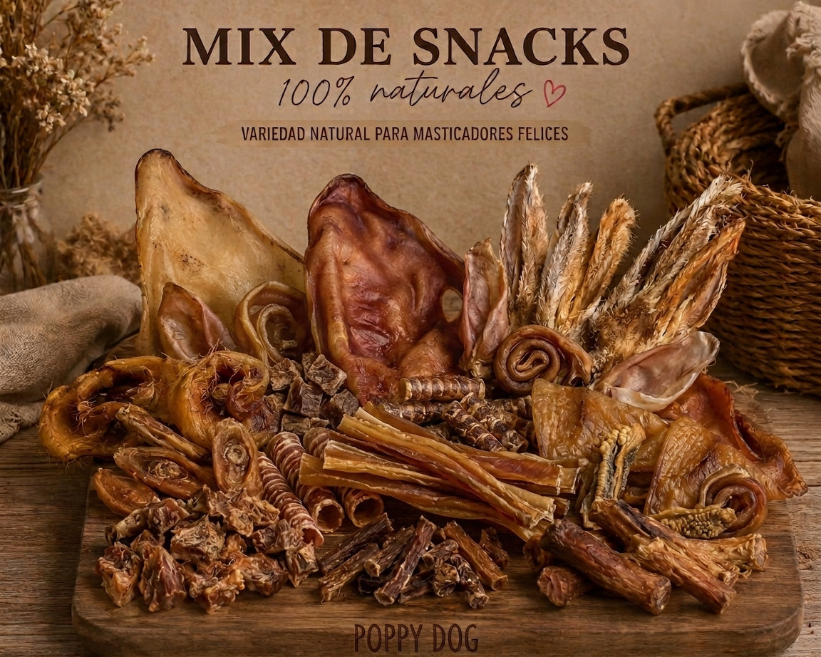 Mix de snacks naturales para perros